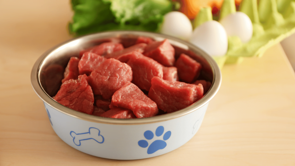 Diy dog food