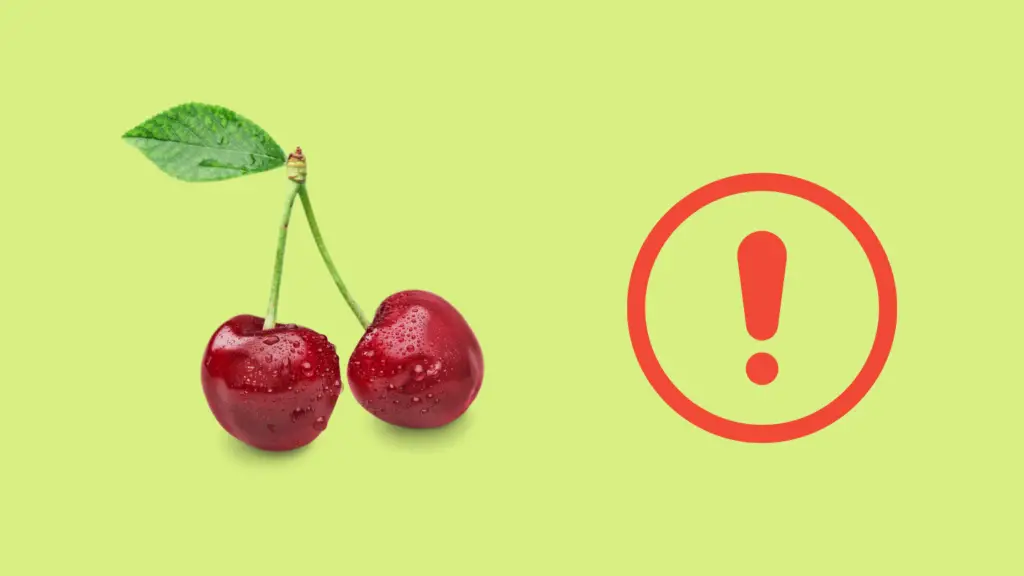 Why are cherries not suitable for dogs? 