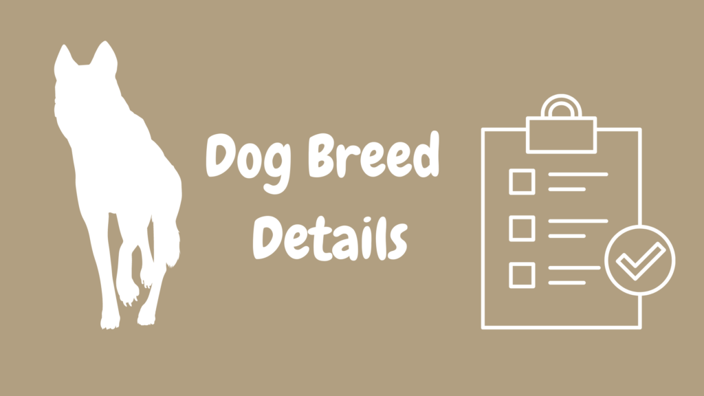 Dog Breed Details
