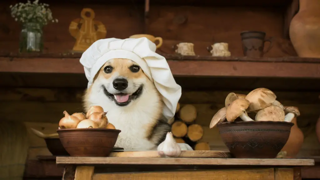 Can Dogs Eat Mushroom?