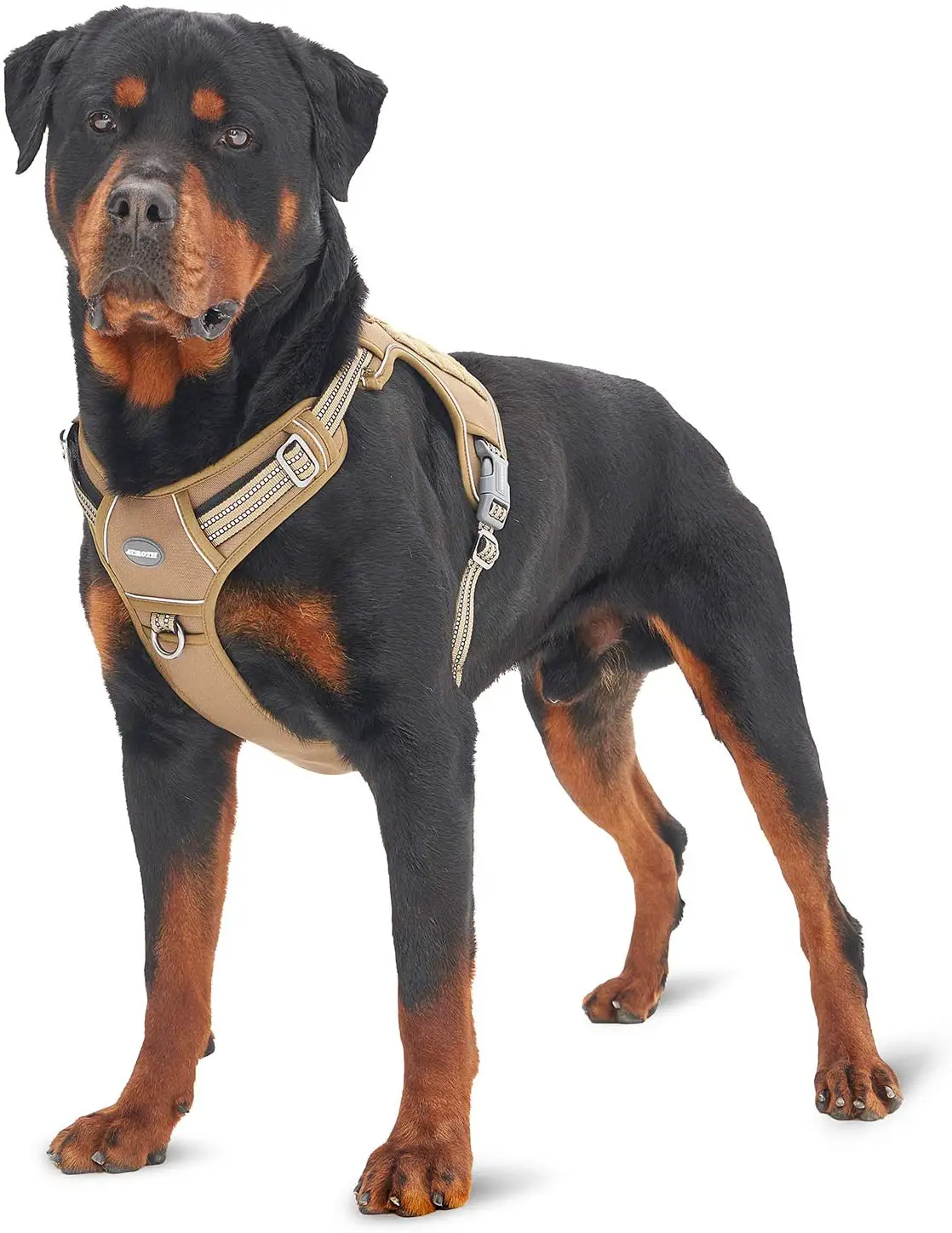Auth Tactical Dog Training Harness 