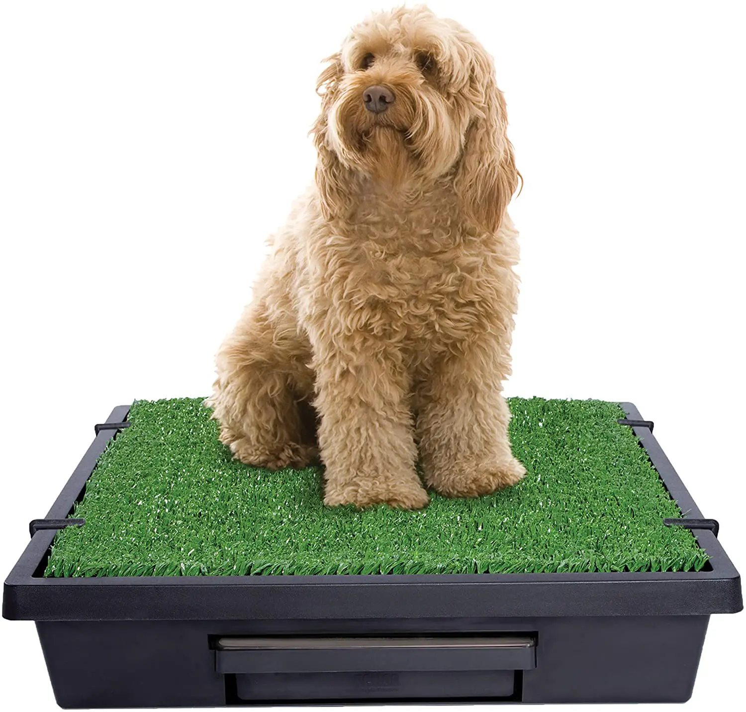 PetSafe Pet Loo Dog Potty Tray
