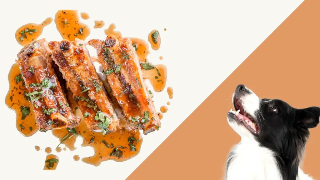 Can Dogs Have Pork Rib Bones?