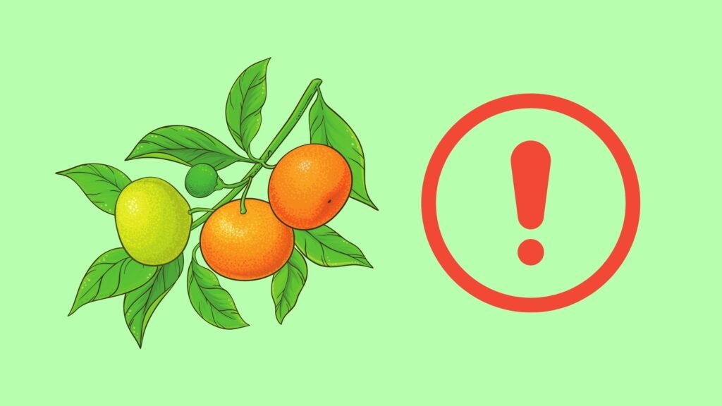 How Can Mandarins Harm Dogs’ Health?