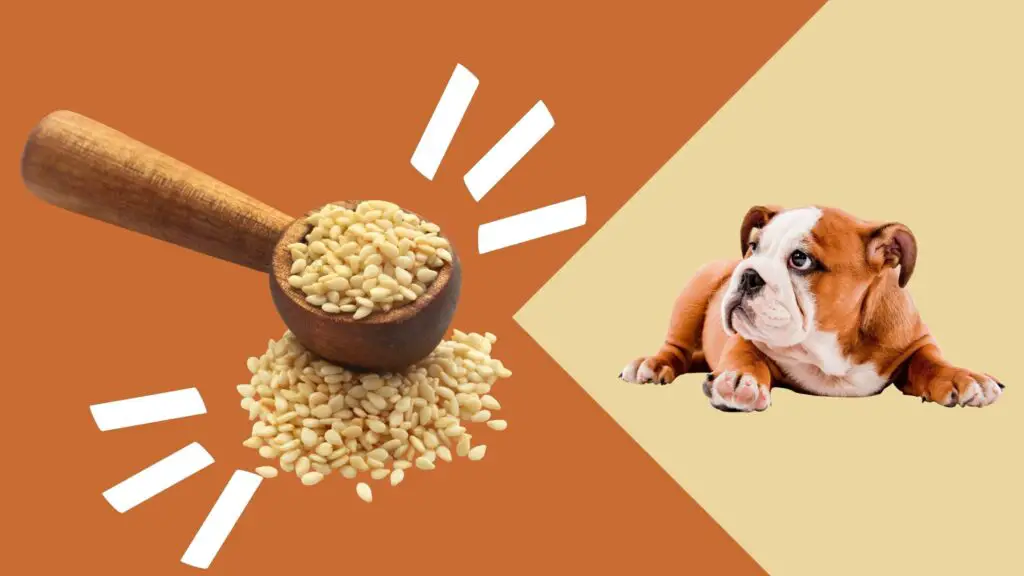 Can dogs eat sesame seeds?