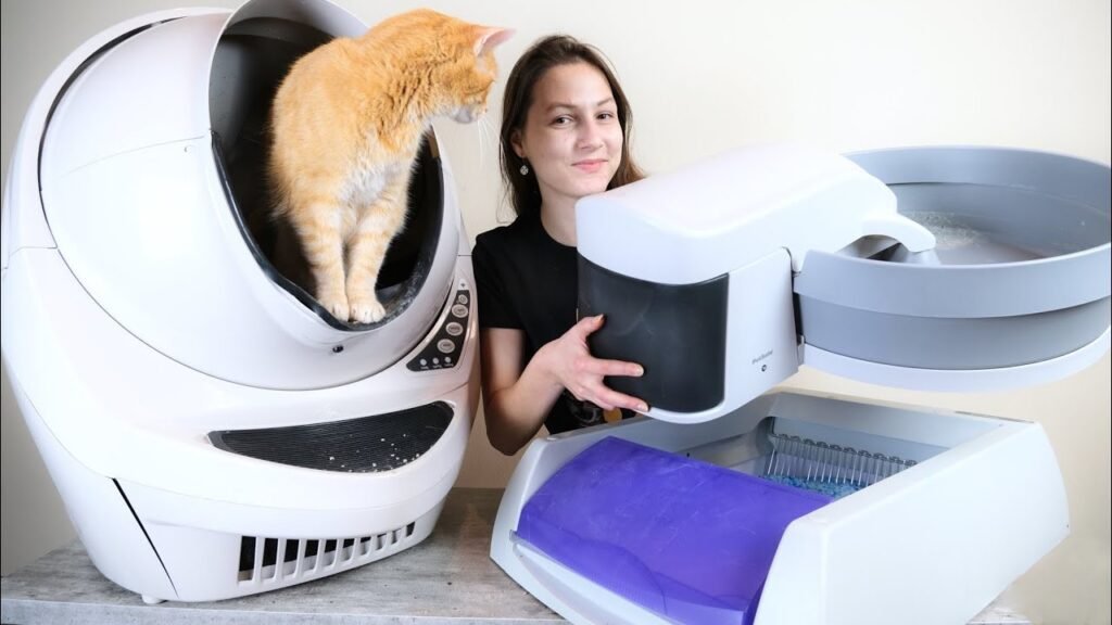 Scoop-Free Litter Box