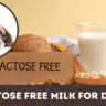 Lactose Free Milk For Dogs