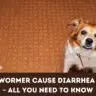 Does Dewormer Cause Diarrhea In Dogs
